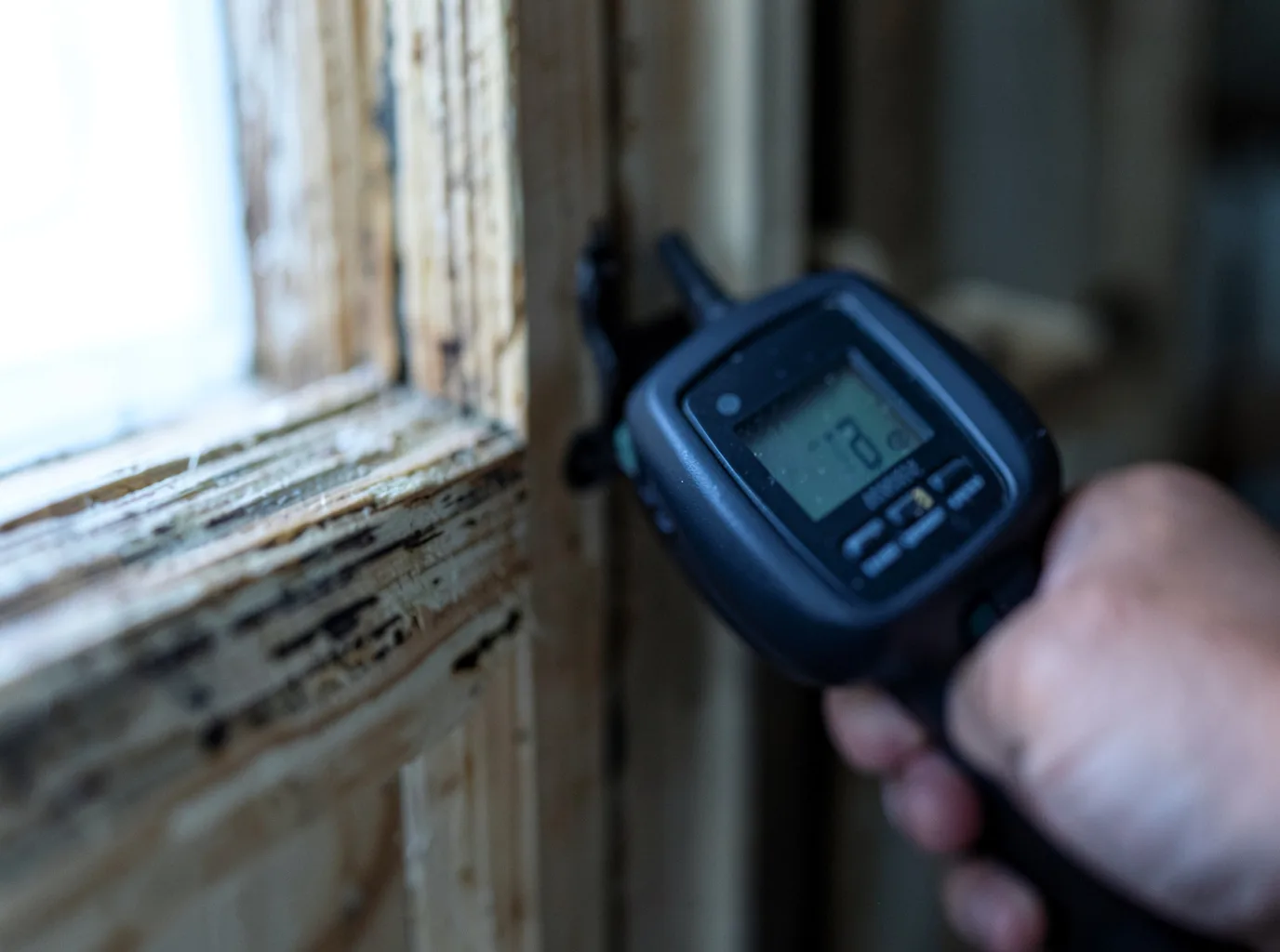 Moisture Inspection And Documentation in Hannastown, PA